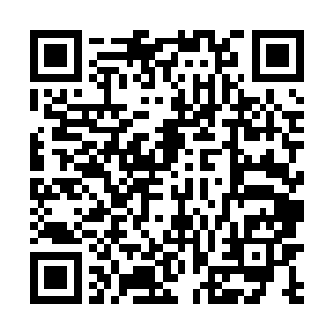 现在夏天所掌握的修罗最多只能控制住六鼎九阶的高手二维码生成