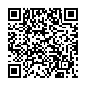 现在天一道主神塔和丹云门那边的天一道弟子已经回撤了二维码生成