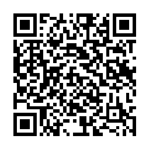 现在失去了最后依仗之后剑无极再也不想错过机会二维码生成