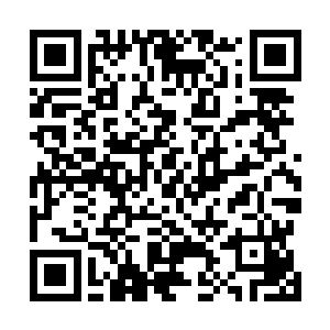 现在她的实力最好还是不要随意动用命运武魂而揣测天机二维码生成