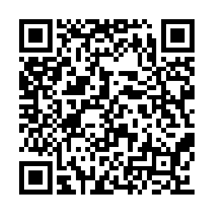 现在她终于明白那两个小偷为什么打开袋子之后二维码生成