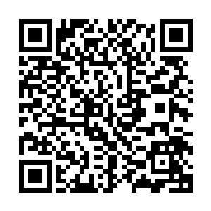 现在宁姑姑手里拿的是一块非常漂亮的大红夹金百子图的缎子二维码生成