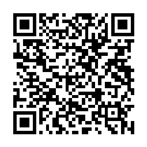 现在它们呆的地方的墙能顶普通人家墙壁的三倍厚二维码生成