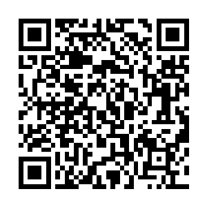 现在家里任何一个人都有资格有权利跑到他面前指责了他了二维码生成