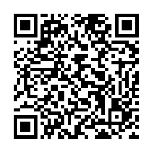 现在对于修罗等人来说要的已经不是普通的打打拳了二维码生成