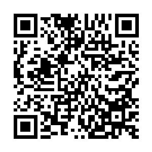 现在对方明显没有那种凭借实力逼迫自己无偿付出的打算二维码生成