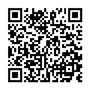 现在就叫人将市区所有的热门地皮的资料全部拿过来二维码生成
