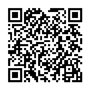现在就连炼药师公会都为她一口气拿出十瓶皇级神仙液二维码生成