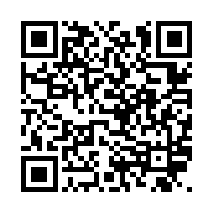 现在已经到了狗看见了都嫌弃的年纪二维码生成