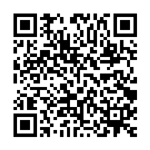 现在已经没有足够多的信仰之力来供第二本源升入准圣之境了二维码生成