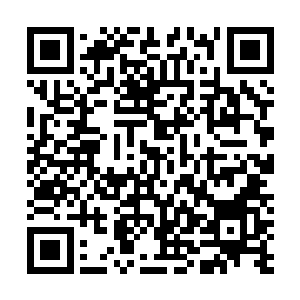 现在想要搞清楚事实的真想便是要把那姓杨的小子叫出来二维码生成
