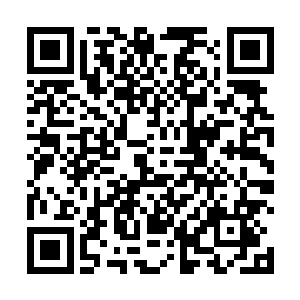 现在我们商量下怎么利用这六人做文章想办法离开这里二维码生成