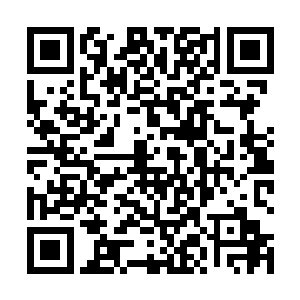 现在我和幻剑天的剑气根本就不在他们那个维度里面了二维码生成