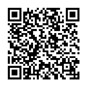 现在我心里还没办法我和白奇雪能百分之百走到一起二维码生成