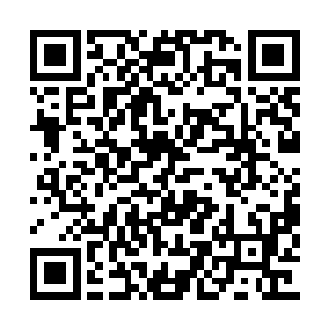 现在我的全部注意力都集中在面前这个女鬼身上二维码生成