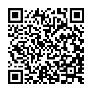 现在我那宝贝孙女正被这狗贼囚禁在地底千米的一间密室中二维码生成