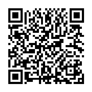 现在所有的人类强者都是历经千辛万苦才拥有强大的力量二维码生成