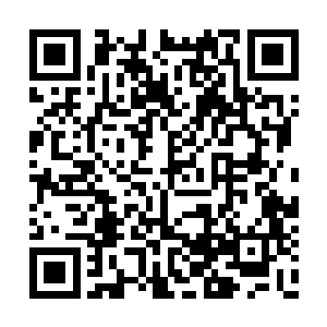 现在才知道……这些人恐怕都是昊乾公子弄死的二维码生成