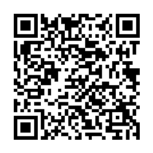 现在拥有这种地位的人和他们海鲨一族的少主这么开心二维码生成