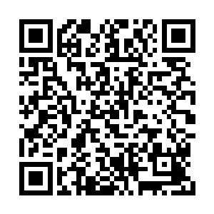 现在有这么一出可以重生的机会摆在他们的眼前二维码生成