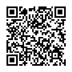 现在林豹甚至在祈祷如果真有个强大无比的人能来拯救他们二维码生成