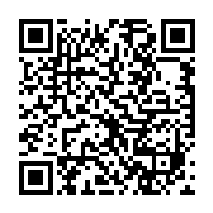 现在水手们看哭丧着脸的劳伦有点儿你是马戏团的小丑二维码生成