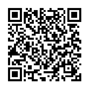 现在王少志这个家伙又让雷天自己打断自己的的双二维码生成