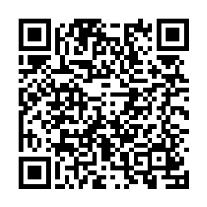 现在白色月牙队陈诚的各项能力打分已经非常高了二维码生成