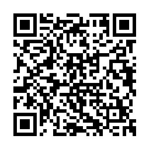 现在的付先生可以说已经变成了一只没牙的老虎二维码生成