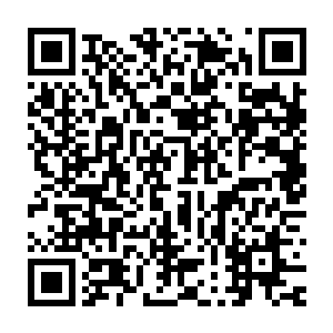 现在的庆幸也不由的让他们想起了之前苏凡大脑黑暗会议厅的那次二维码生成