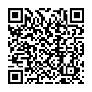 现在的月之丹正好可以将这些丹药的力量催化出来二维码生成
