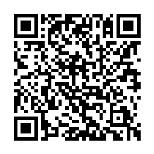 现在的玫瑰力量这两个国内最红的组合一路走来二维码生成