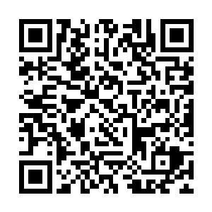 现在的记者们突然开始不顾一切的拿起相机一阵狂拍二维码生成