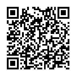 现在看小向有时候抱着儿子的模样还是挺羡慕的二维码生成