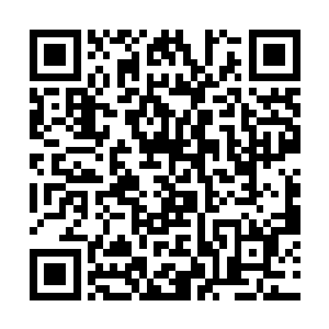 现在石明轩杀人和非法运卖人体器官的证据已经找到二维码生成