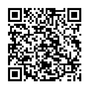 现在石民是费劲脑汁的想着怎么把张秀枝先给绑了二维码生成