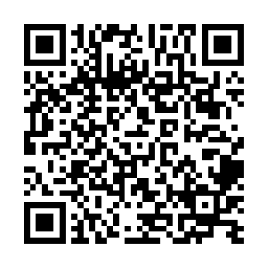 现在空亡屋的主力都被派出去寻找空亡屋老祖宗的消息了二维码生成
