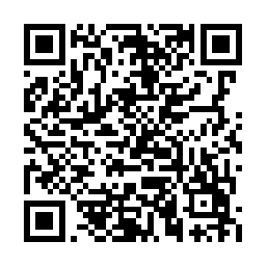 现在竟然又冒出了一个不下于杨戬的恐怖的存在二维码生成