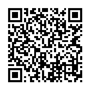 现在竟然将这个念头给转移到了两位老者的身上二维码生成