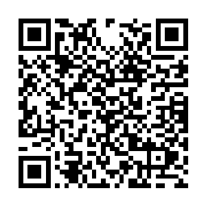 现在竟然已经有许多人手中都拿着一本薄薄的书籍二维码生成