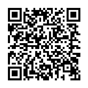 现在红衭面对的是玉女和比玉女实力更强的金童二维码生成