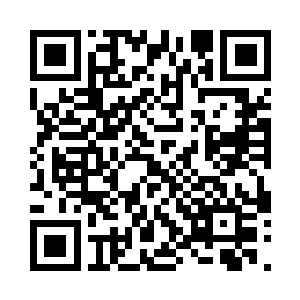 现在给予了他们四个人一个选择的机会二维码生成