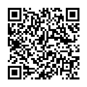 现在老头子肯定把那小畜生当心肝宝贝一样供着二维码生成