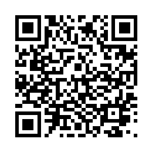 现在要紧的就是不论如何都要活下去二维码生成