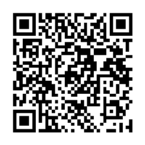 现在见到虎神大人和灰团子以及龙战和凌菲之间的互动二维码生成