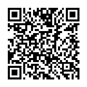 现在说服教皇却成了苏凡等人来说最重要的一件事情二维码生成