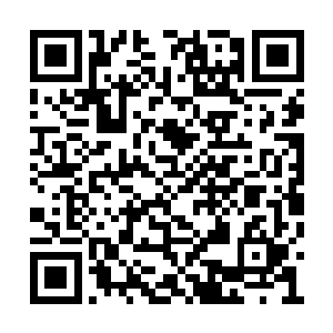 现在谁是小景的守护人这事儿都没意义了知道不二维码生成