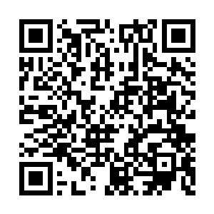 现在边南三十万大军都已经归了咱们九殿下统管二维码生成