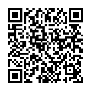 现在还不好意思了之前我可是看着某人搂着三个二维码生成