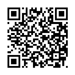 现在这个社会能够借到钱那就是本事了二维码生成